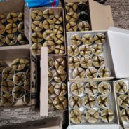 В январе 2025 г. прихожане храма сщмч. Серафима Чичагова в Южном Бутове собрали и передали очередную гуманитарную помощь участникам СВО