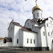 Главная