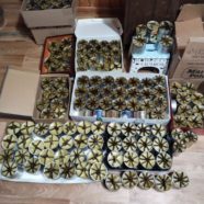 Прихожане храма сщмч. Серафима, митрополита Петроградского изготавливают окопные свечи.