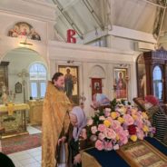 Богослужение в храме священномученика Серафима в день памяти святителя Спиридона Тримифунтского